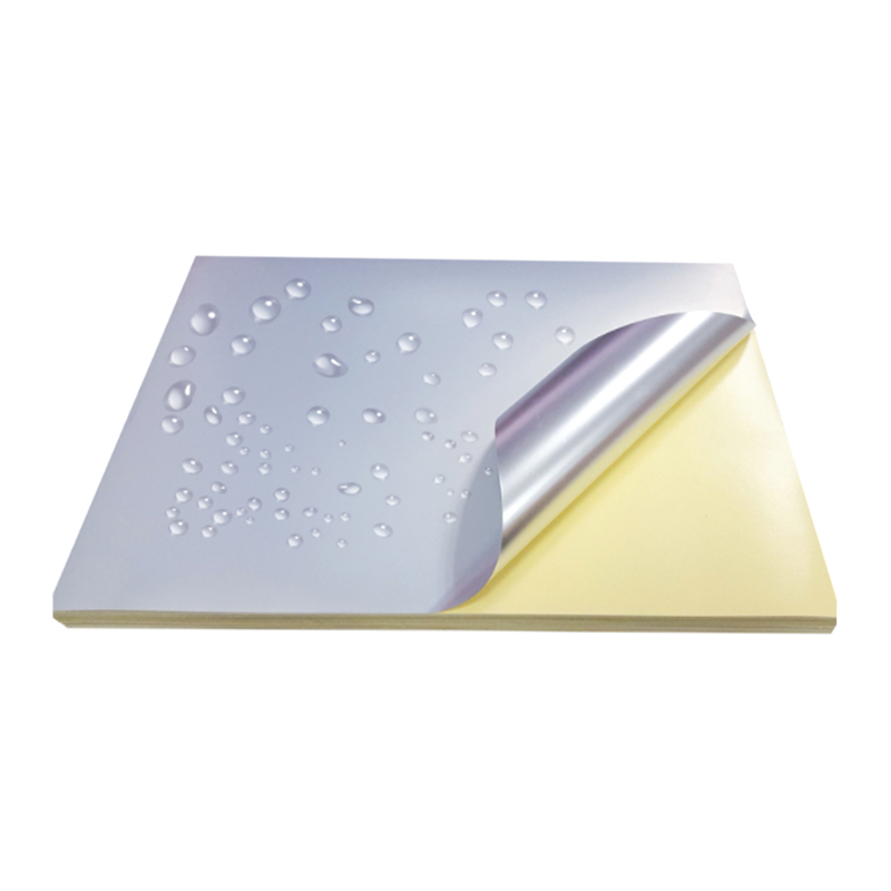 50um matná strieborná fólia pre domáce zvieratá so žltou silikónovou vložkou